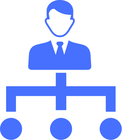 Team leadership and project management